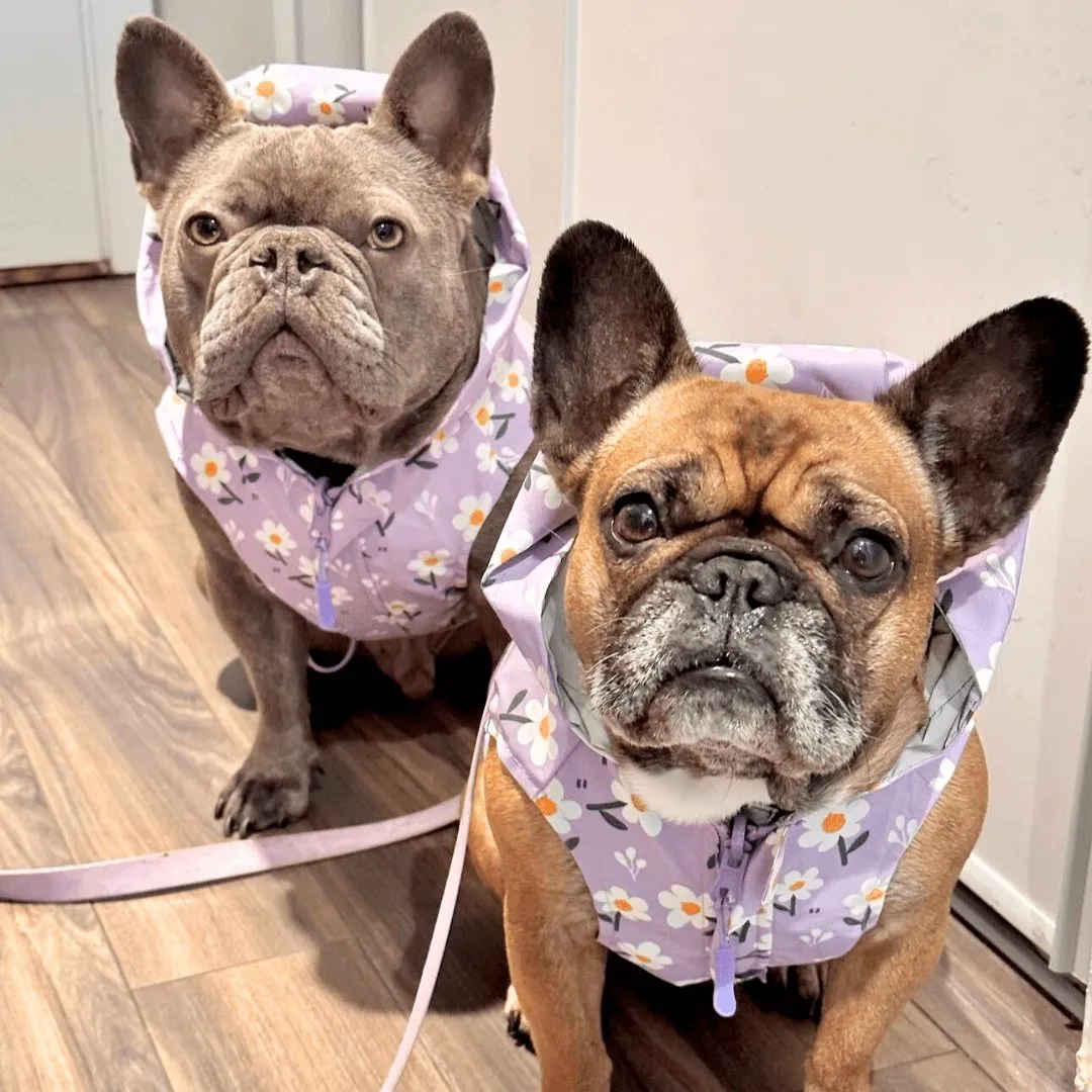 Purple Daisy Reversible Zoomies Rain Vest™