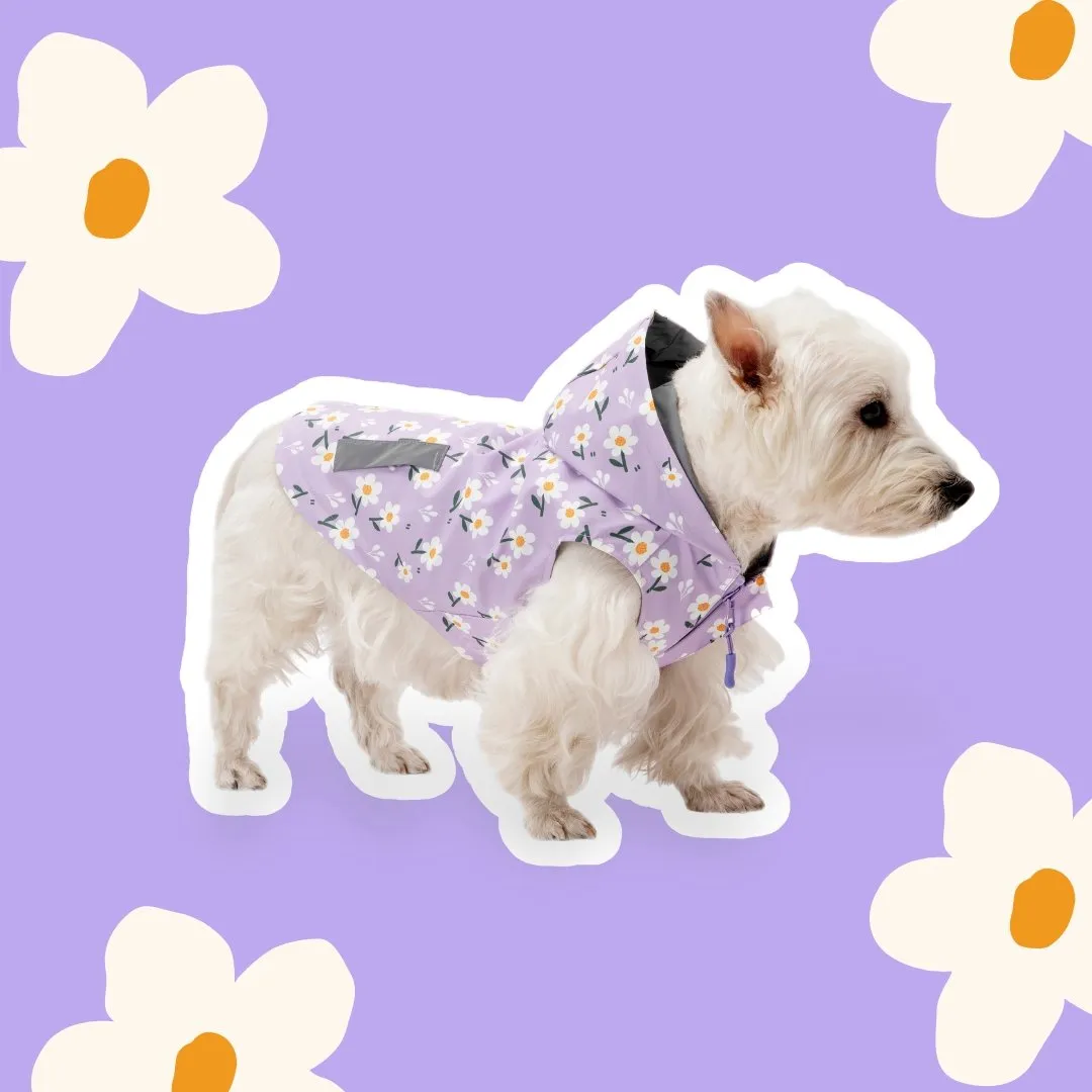 Purple Daisy Reversible Zoomies Rain Vest™